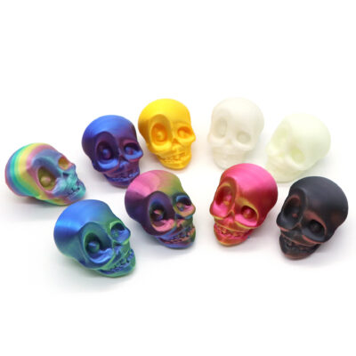 3D Printed Skull