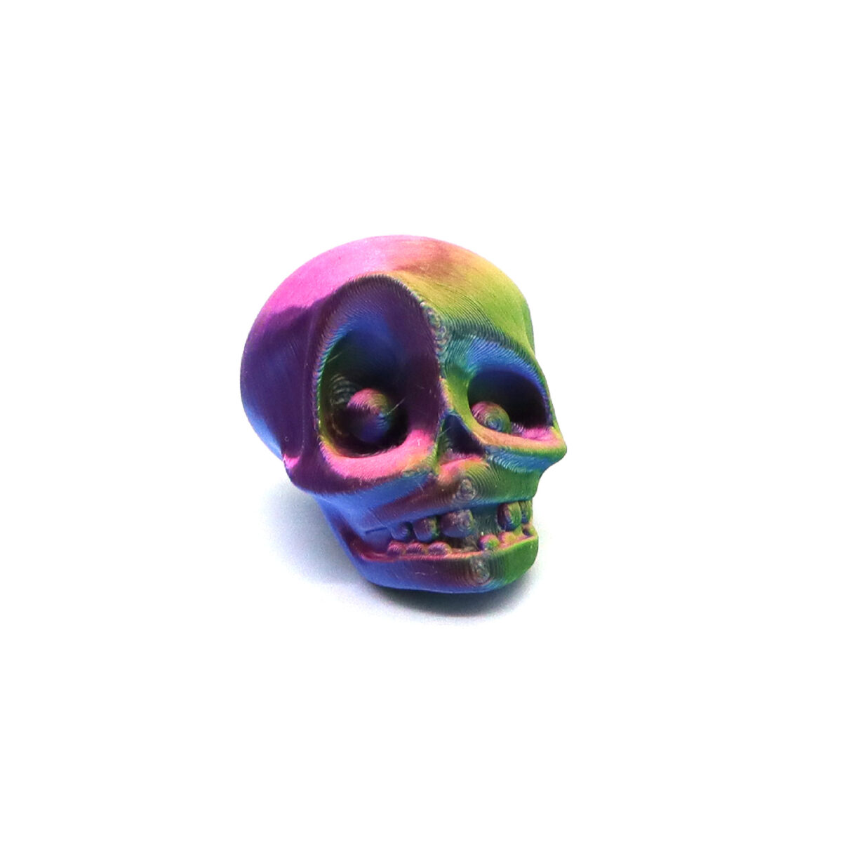 3D Printed Skull