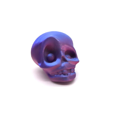 3D Printed Skull