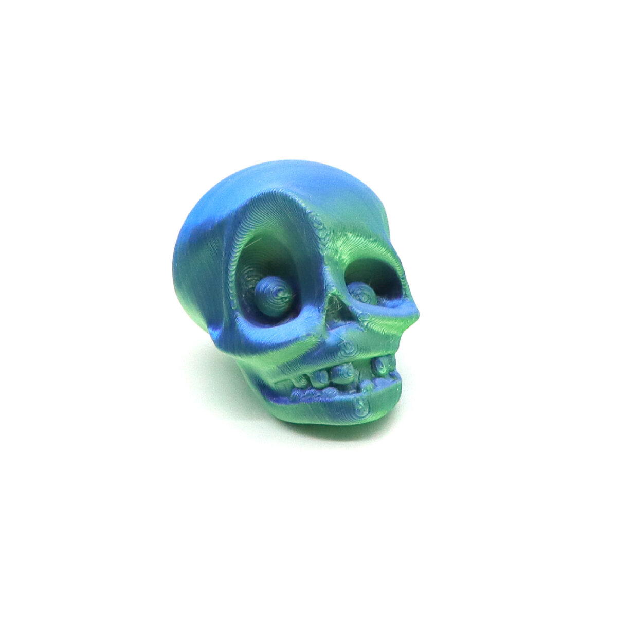 3D Printed Skull