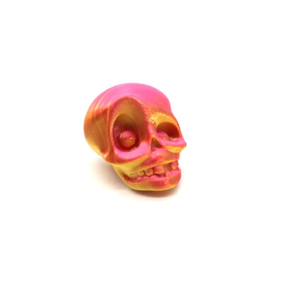 3D Printed Skull