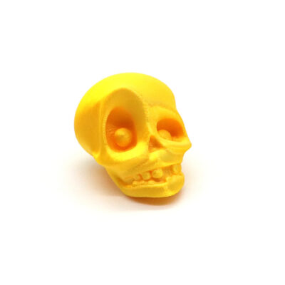 3D Printed Skull