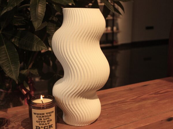 S-Shaped Vase