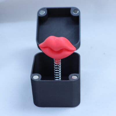 Middle Finger in a Box