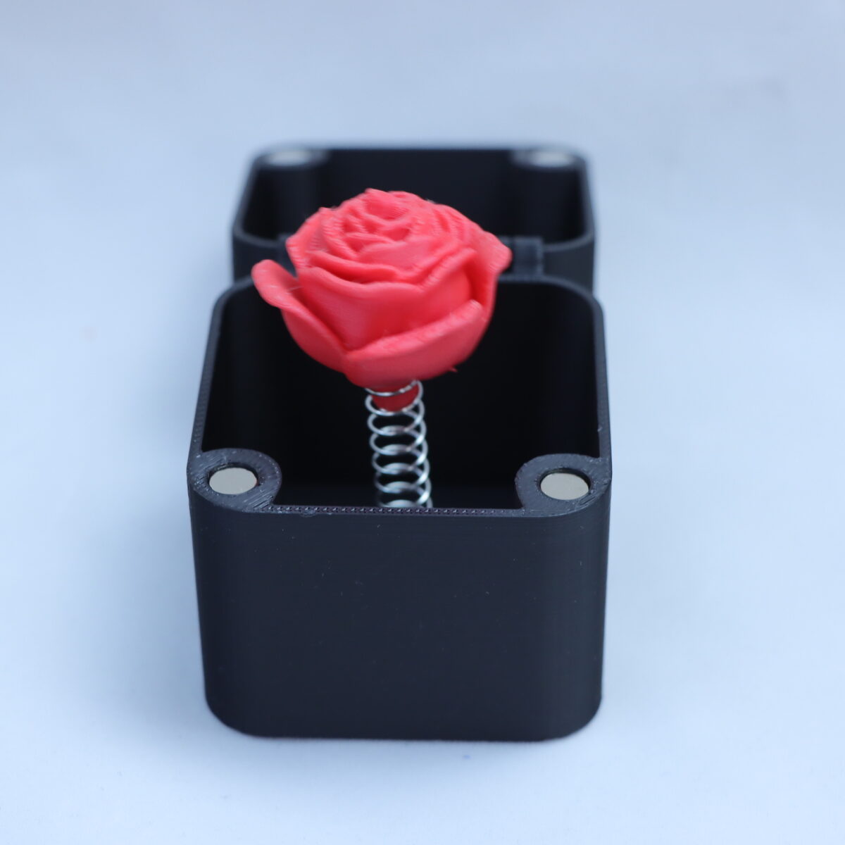 Middle Finger in a Box