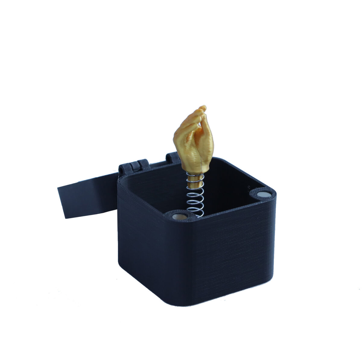 Middle Finger in a Box