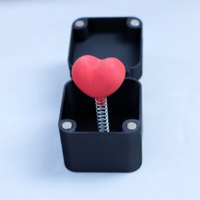 Middle Finger in a Box