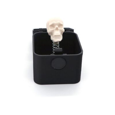 Skeleton Head in a Box