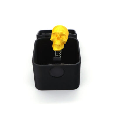 Skeleton Head in a Box